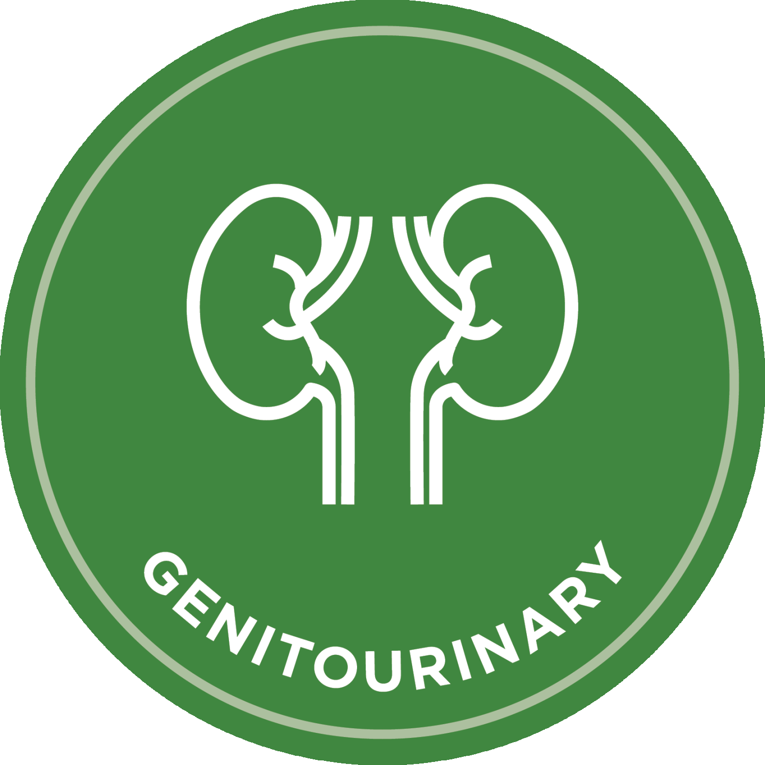 Genitourinary