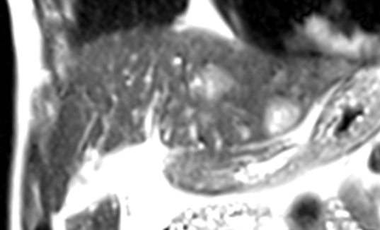 Image 3 Image 3
